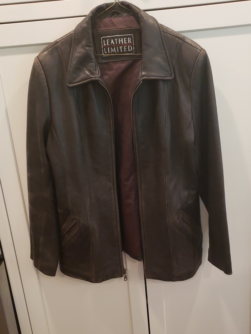 Leather Limited Men's Leather Jacket in Brown